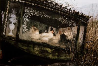 Hens In A Hearse, Mayo