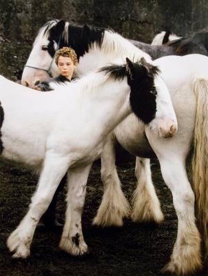 Boy With Piebalds, Ballinasloe Horsefair, Galway