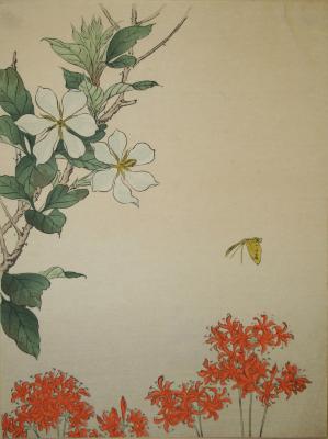 Untitled (scene with flowers and butterfly)