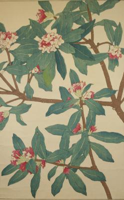 Untitled (Tree with pink flowers)