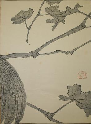 Untitled (branches and leaves)