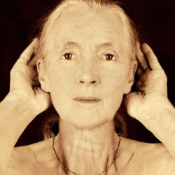 Jane Goodall, 67