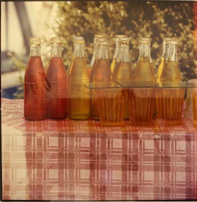 Bottles (from Studies for Chinese Summerhall)