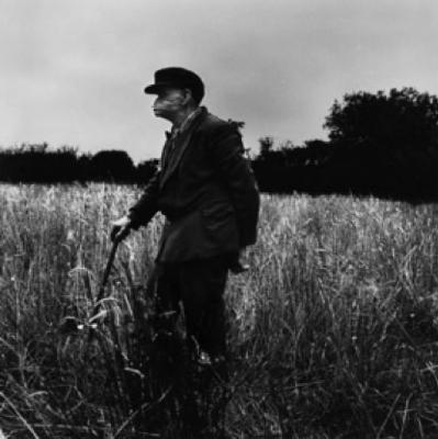 Old Man in a Field, Sligo