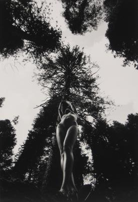 Nude in Yosemite National Park, California;Nude in Yosemite National Park, California