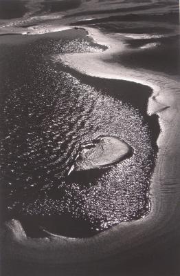 Beach of Sablons, the Camargue, France;Beach of Sablons, the Camargue, France