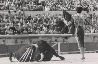 Matador Nino de la Capea, Nimes, France;Matador Nino de la Capea, Nimes, France